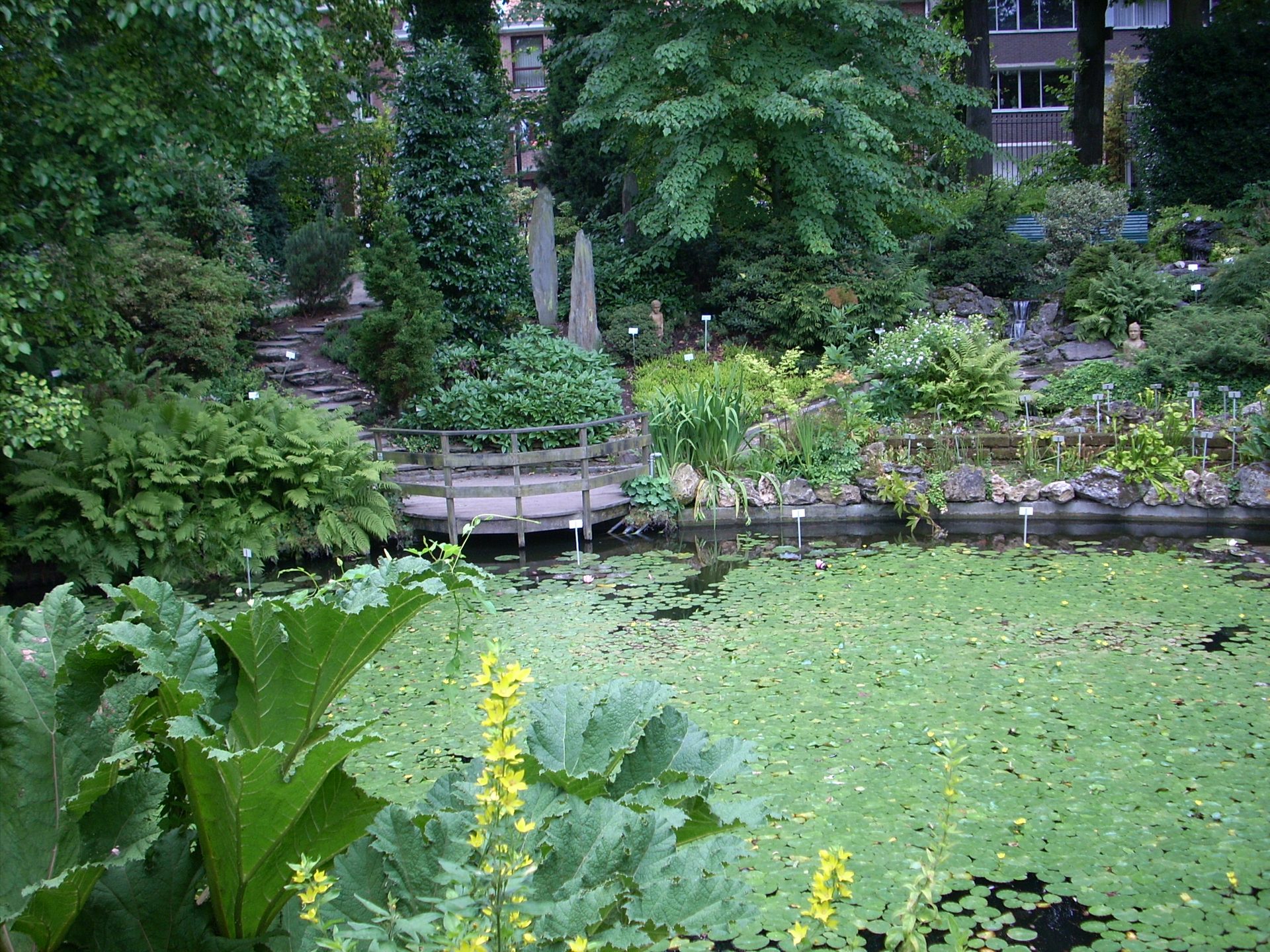 Botanical%20Garden%2C%20Leuven%20-%2006.JPG